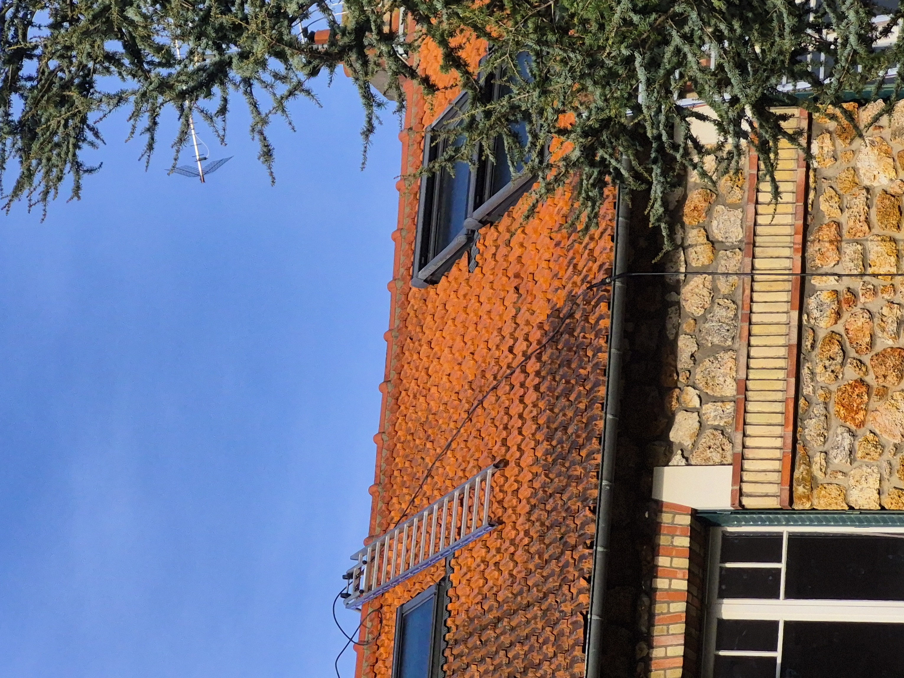 Réparation, Changement de Toiture à Le Pecq : Guide complet pour les Propriétaires